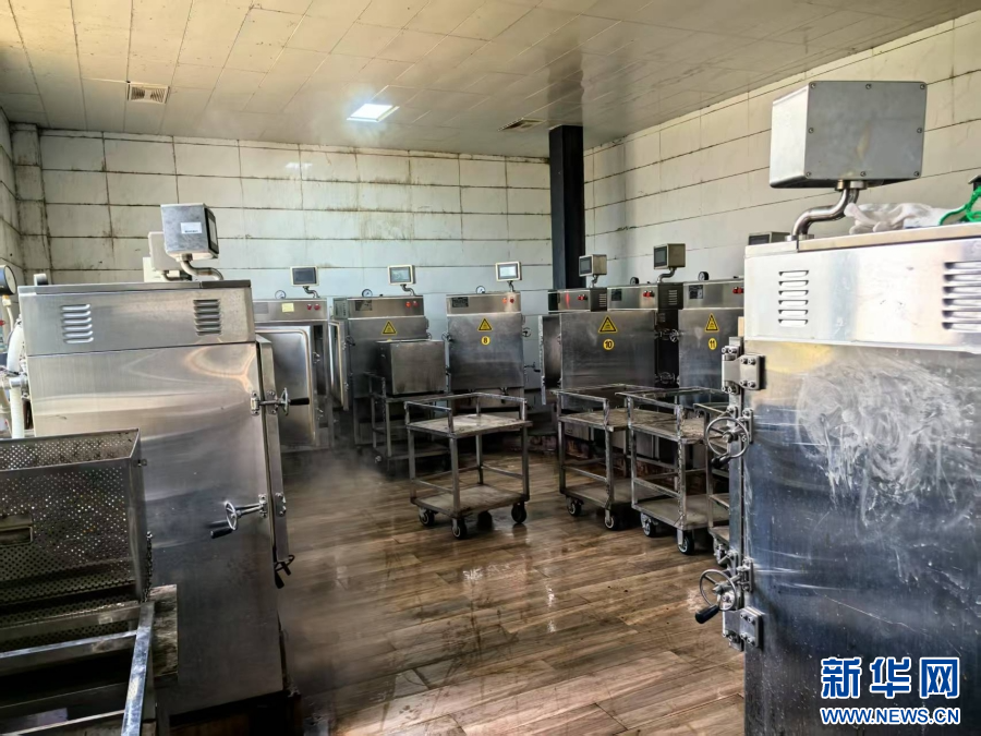 西双版纳州景洪市：傣医药文化赋能产业升级 打造康养旅居胜地_新华网(图1)