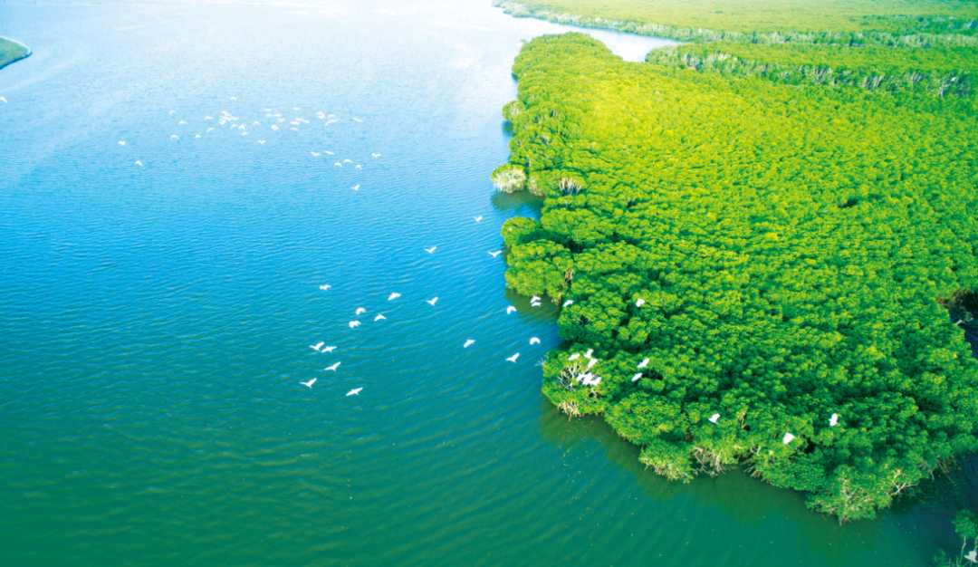 “山盟海誓秦岭行”海口发出康养邀请！(图4)