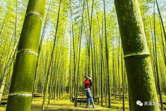 【玩转气候密码】春节反向玩来江西气候康养旅居地温暖整个冬天！(图3)
