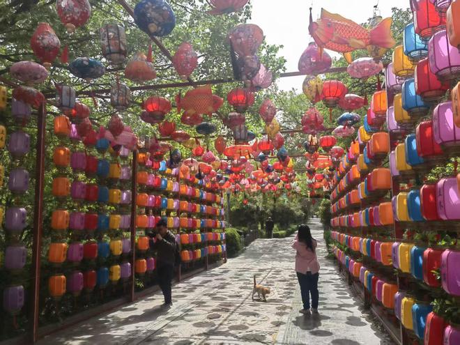 春游江淮请您来｜萧县皇藏峪：以森林康养为笔 绘就康养文旅新篇章(图2)