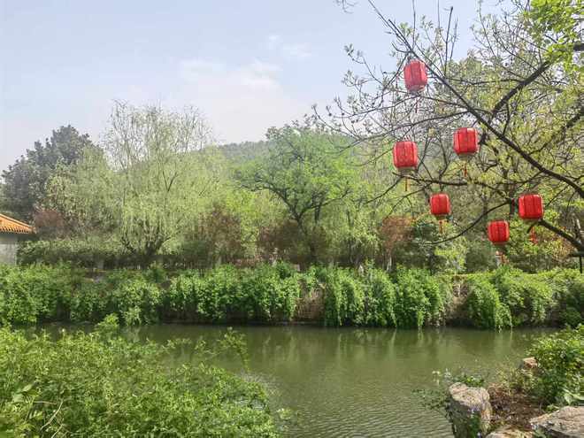 春游江淮请您来｜萧县皇藏峪：以森林康养为笔 绘就康养文旅新篇章(图7)