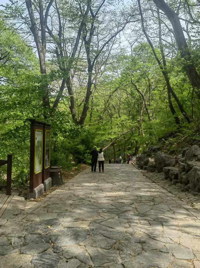 春游江淮请您来｜萧县皇藏峪：以森林康养为笔 绘就康养文旅新篇章(图3)