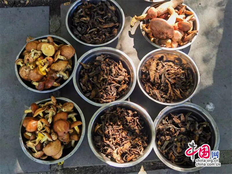 高舜礼：做好康养需破除哪些现实制约(图)(图5)